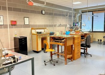 Gemini_Generated_Image_f5bx6qf5bx6qf5bx.png - Laboratory Camisano Vicentino - photo 4