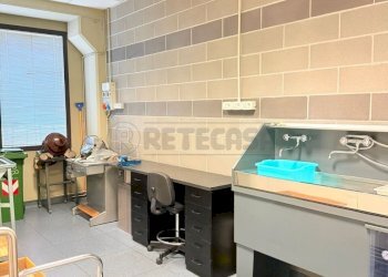 WhatsApp Image 2026-02-10 at 16.11.21.jpeg - Laboratory Camisano Vicentino - photo 6