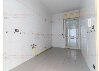 RIC09059.jpg - Attic Floridia - photo 6