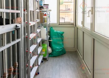 RIC09242.jpg - Appartamento Siracusa - foto 25