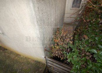 DSC_0024.JPG - Villetta Via Crociale, Pietrasanta - foto 21