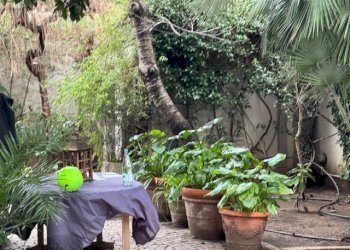 IMG_2502.jpeg - Casa indipendente Via Giovanni Marradi 118, Livorno - foto 24