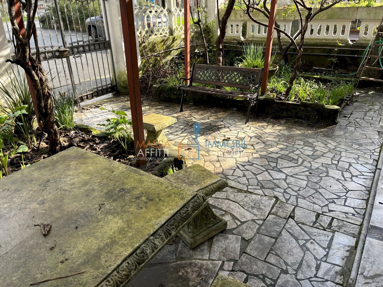 IMG_5929 2.JPG - Terratetto - Terracielo Massa - foto 2