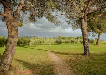 Casa Dpgana-11.jpg - Casale località podere dogana, Roccastrada - foto 14