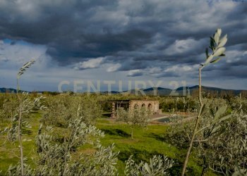 Casa Dpgana-08.jpg - Casale località podere dogana, Roccastrada - foto 8