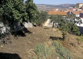 e7232dda-f2f4-4da3-b4d0-d125d5ae1625.jpg - Villa Chiaramonti - foto 3