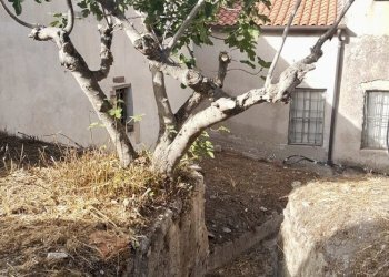 1fbadb07-66f4-4f7f-b7b8-122163926a03.jpg - Villa Chiaramonti - foto 6