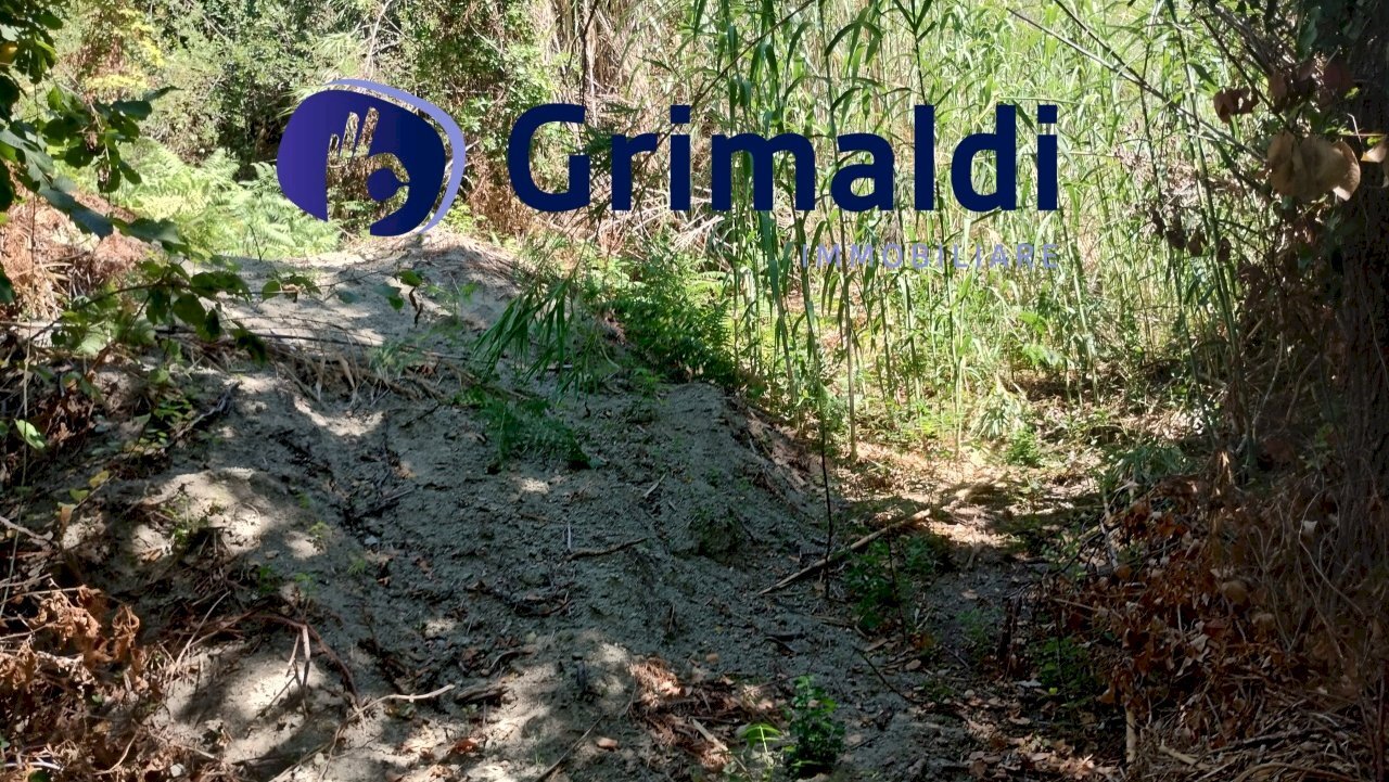 IMG_20250731_121953998_HDR.jpg - Terreno agricolo Corsa Regina Elena SNC, Barano d'Ischia - foto 1