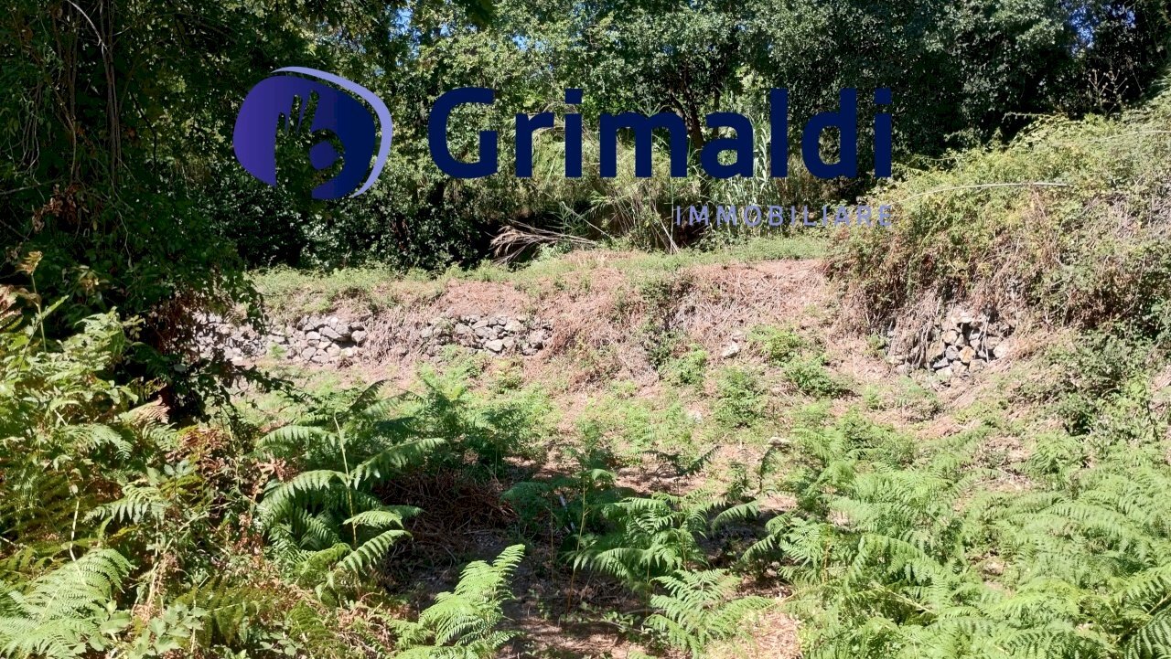 IMG_20250731_122019201_HDR.jpg - Terreno agricolo Corsa Regina Elena SNC, Barano d'Ischia - foto 2