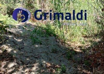 IMG_20250731_121953998_HDR.jpg - Terreno agricolo Corsa Regina Elena SNC, Barano d'Ischia - foto 1