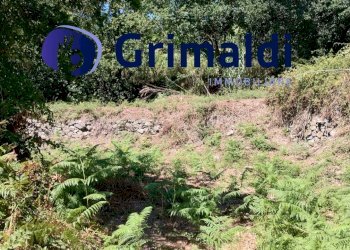 IMG_20250731_122019201_HDR.jpg - Terreno agricolo Corsa Regina Elena SNC, Barano d'Ischia - foto 2