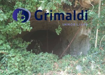 IMG_20250731_122142602.jpg - Terreno agricolo Corsa Regina Elena SNC, Barano d'Ischia - foto 6