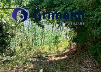 IMG_20250731_122153975_HDR.jpg - Terreno agricolo Corsa Regina Elena SNC, Barano d'Ischia - foto 8