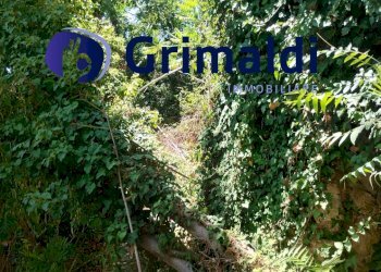 IMG_20250731_122157469_HDR.jpg - Terreno agricolo Corsa Regina Elena SNC, Barano d'Ischia - foto 9