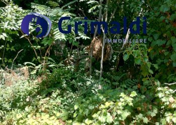 IMG_20250731_122229915_HDR.jpg - Terreno agricolo Corsa Regina Elena SNC, Barano d'Ischia - foto 10