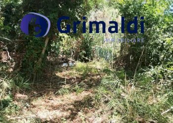 IMG-20250731-WA0013.jpeg - Terreno agricolo Corsa Regina Elena SNC, Barano d'Ischia - foto 15