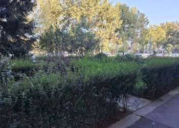 20251002_095014.jpg - Trilocale corso unione sovietica 371, Torino (zona Lingotto) - foto 4