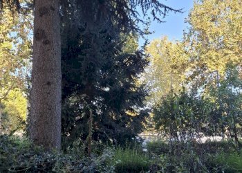 20251002_095018.jpg - Trilocale corso unione sovietica 371, Torino (zona Lingotto) - foto 26