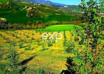 Appartamento Strada Valubbio, Cagli - foto 35