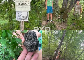 Quadrilocale Cagli - foto 18