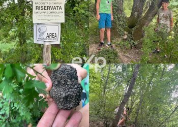 Quadrilocale Cagli - foto 18