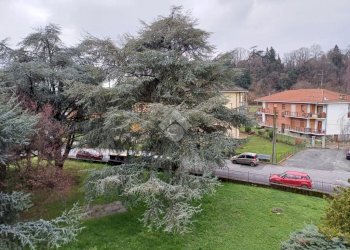 Trilocale Via Pinerolo, Bibiana - foto 4