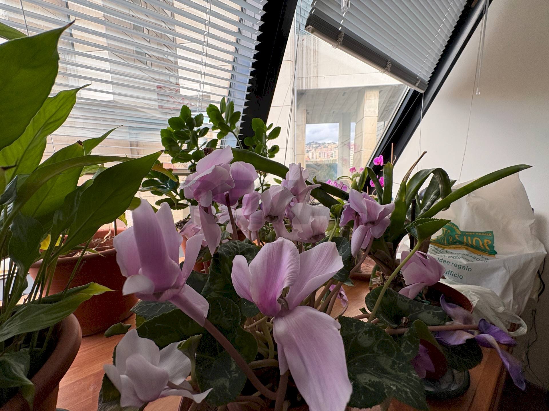 Office Corso Buenos Aires, 8 
 Genova, Genova (neighborhood Foce) - photo 1