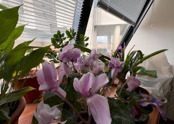 Ufficio Corso Buenos Aires, 8 
 Centro, Genova (zona Centro) - foto 1