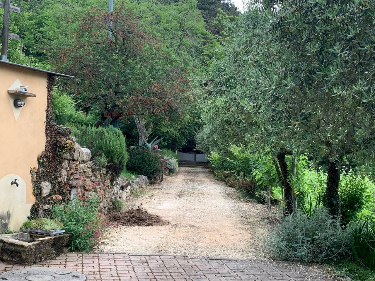 Casale Via Grena, SNC
Zandobbio, Zandobbio - foto 2