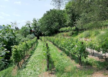 Casale Via Grena, SNC 
 Zandobbio, Zandobbio - foto 17
