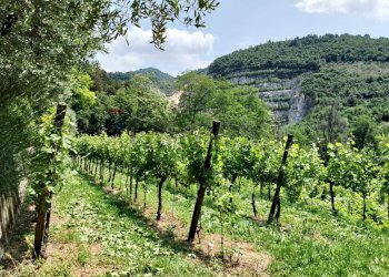 Casale Via Grena, SNC 
 Zandobbio, Zandobbio - foto 18