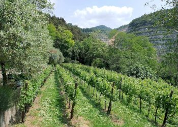 Casale Via Grena, SNC 
 Zandobbio, Zandobbio - foto 20
