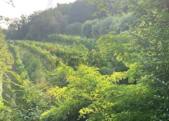 Casale Via Grena, SNC 
 Zandobbio, Zandobbio - foto 21