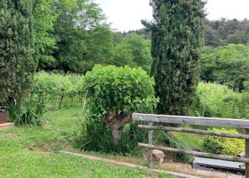 Casale Via Grena, SNC 
 Zandobbio, Zandobbio - foto 22