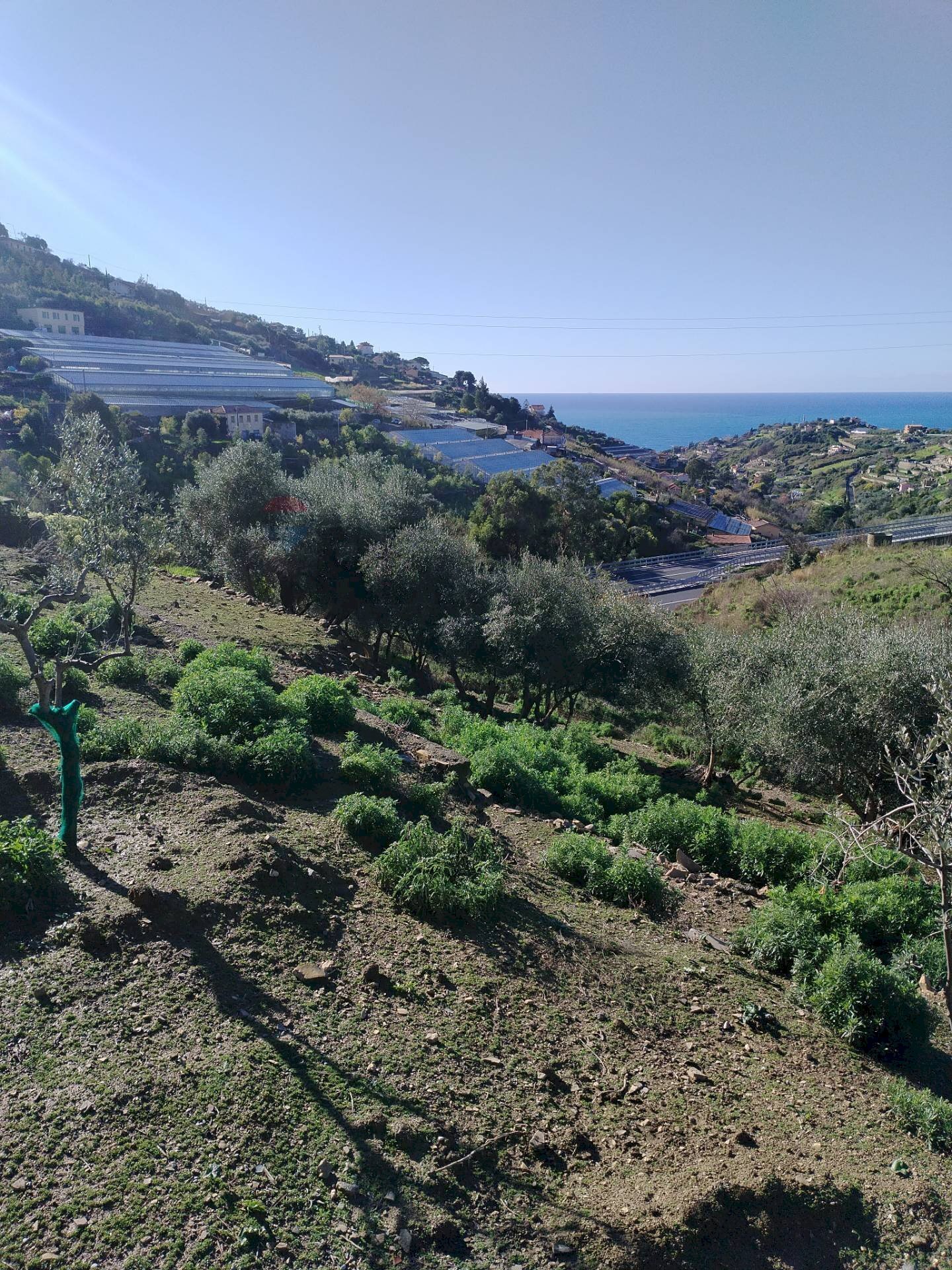Building land strada statale sp55 
 Poggio, Sanremo, Sanremo - photo 1
