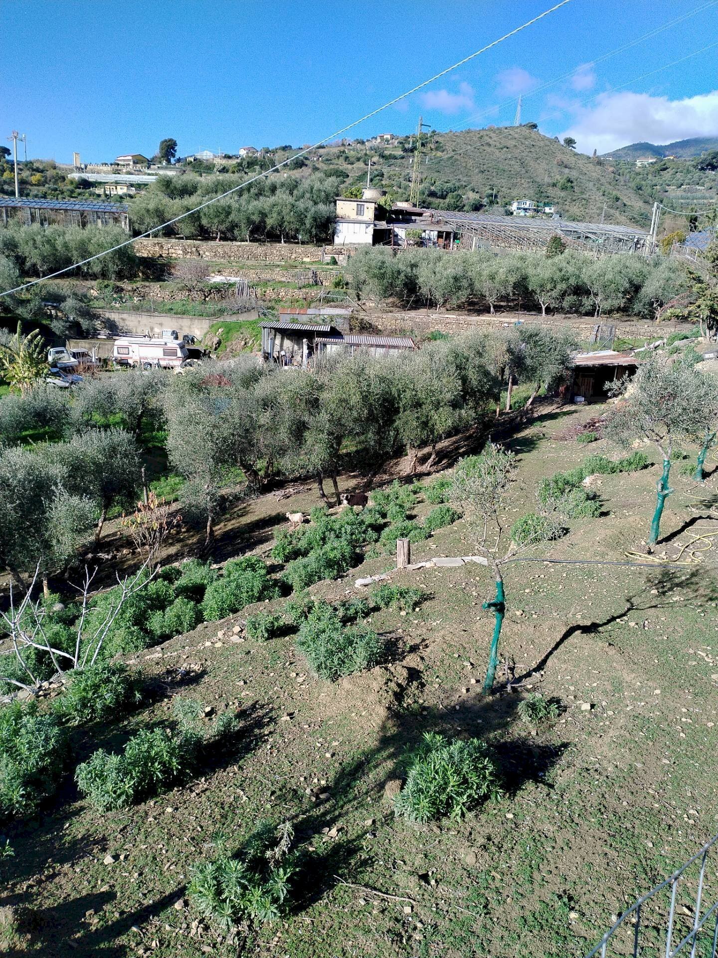 Building land strada statale sp55 
 Poggio, Sanremo, Sanremo - photo 2