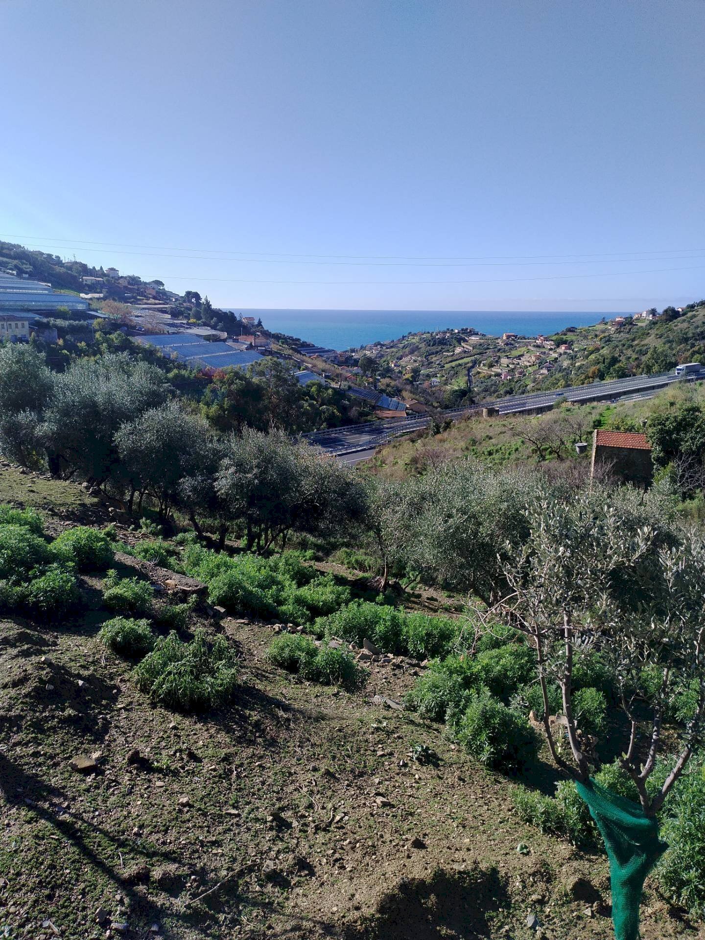 Building land strada statale sp55 
 Poggio, Sanremo, Sanremo - photo 3