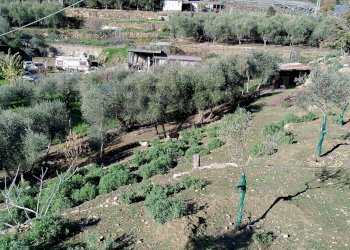 Terreno edificabile strada statale sp55
Poggio, Sanremo, Sanremo - foto 2