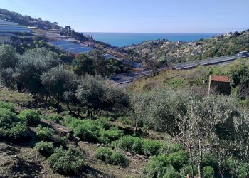 Terreno edificabile strada statale sp55
Poggio, Sanremo, Sanremo - foto 3
