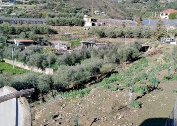 Terreno edificabile strada statale sp55
Poggio, Sanremo, Sanremo - foto 4