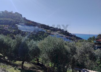 Terreno edificabile strada statale sp55
Poggio, Sanremo, Sanremo - foto 5