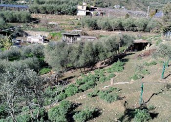 Terreno edificabile strada statale sp55
Poggio, Sanremo, Sanremo - foto 6