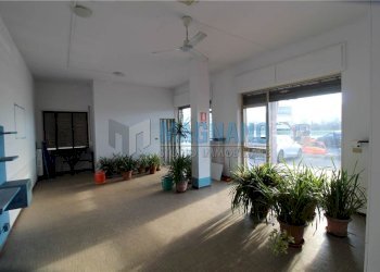 Negozio Barge - foto 5