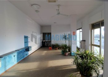 Negozio Barge - foto 6