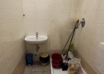 Shed Sala Bolognese - photo 9