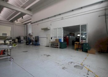 Shed Sala Bolognese - photo 13