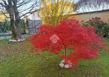 Villa Via Borgo San Siro, Gambolò - foto 37