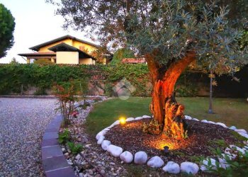 Villa Via Borgo San Siro, Gambolò - foto 39