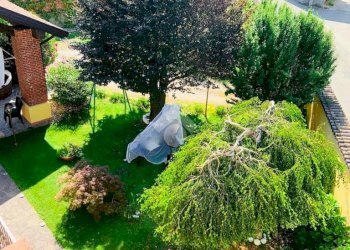 Villa Via Borgo San Siro, Gambolò - foto 40