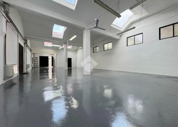 Capannone Vicolo L. Tolstoi, Galliate - foto 5